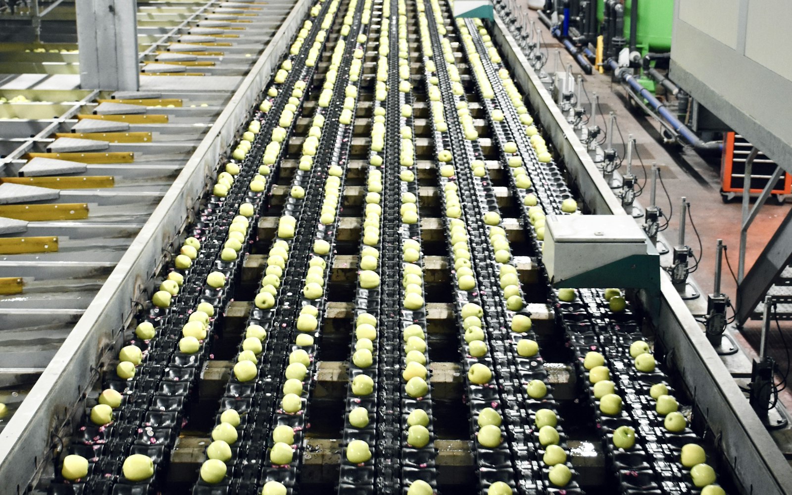Industrial food manufacturing facility with stainless steel processing machinery